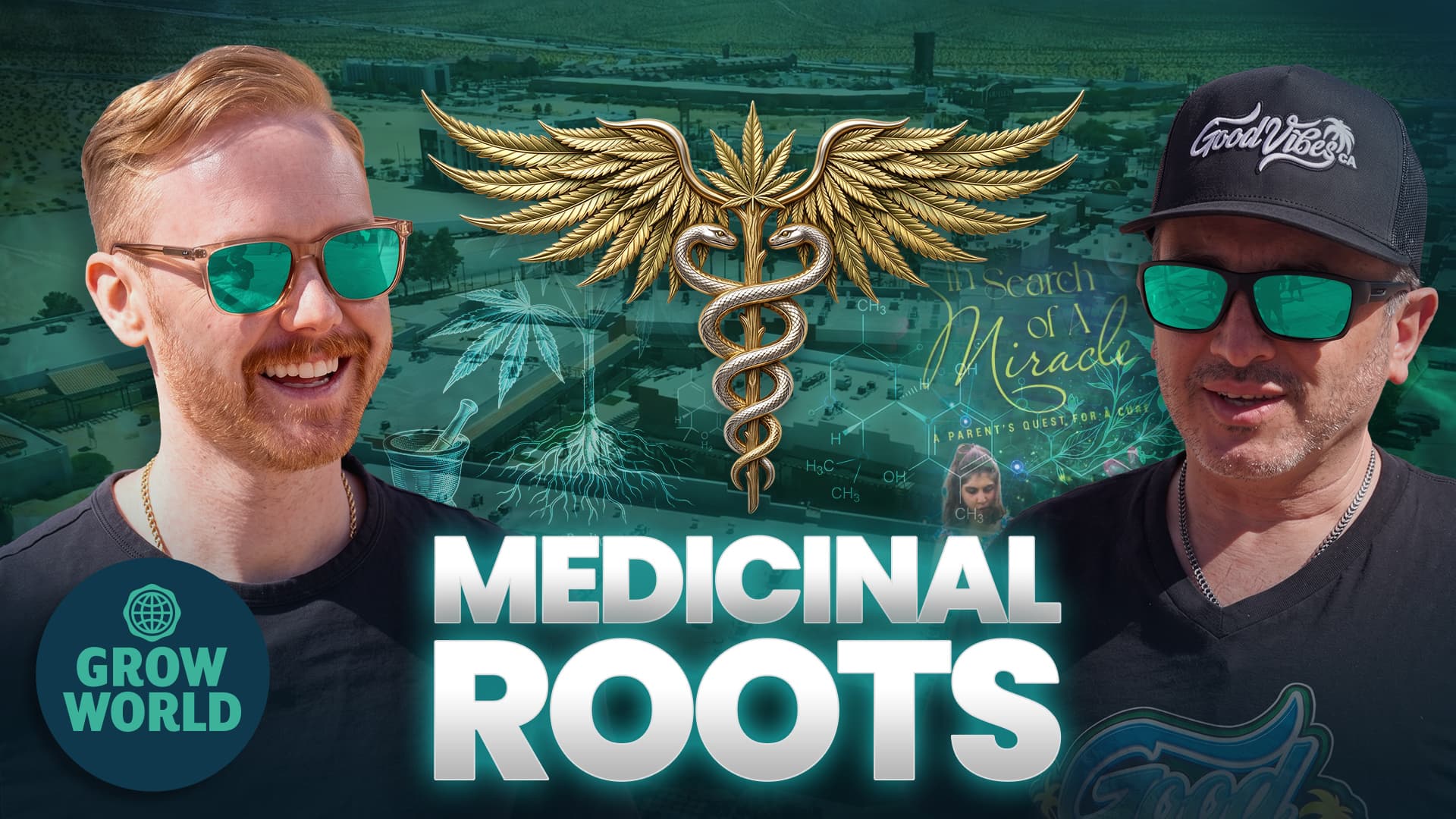 The Medical Journey That Started Good Vibes