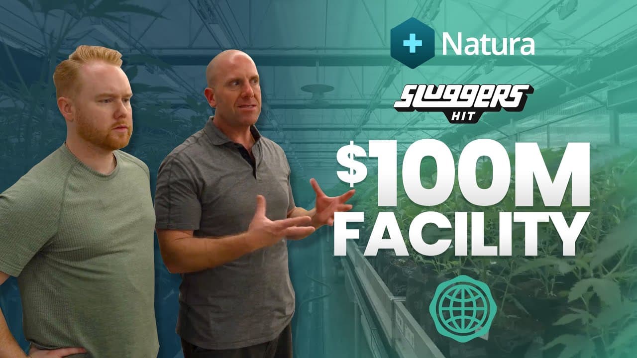 Inside Natura’s $100M Engine for Brand Growth