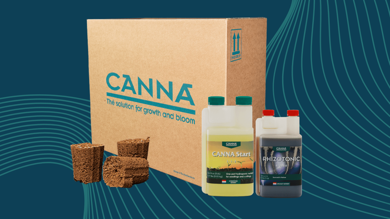 CANNA Rootplugs, Start, and Rhizotonic