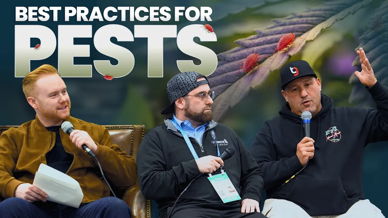 Placement & Best Practices of Pest Monitoring