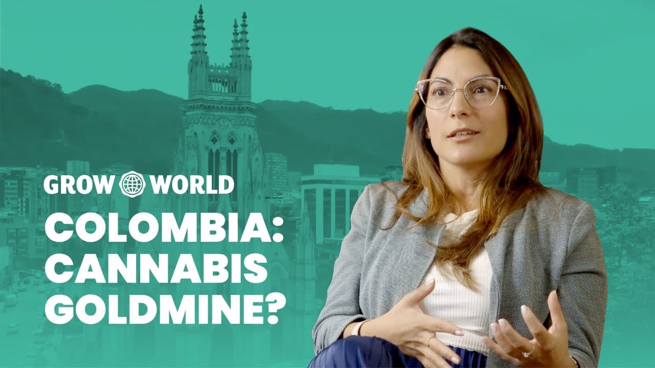 Colombia: Cannabis Goldmine?