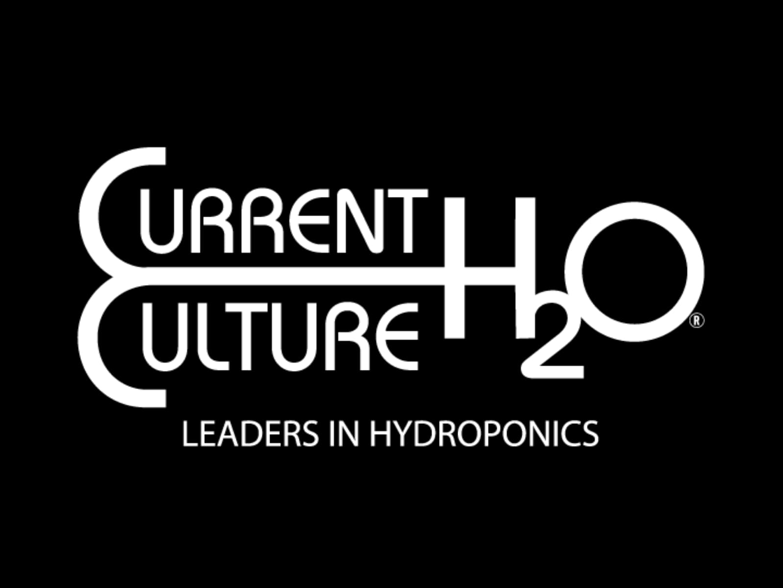 Current Culture H20