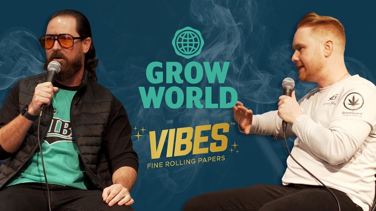 Rolled Right, Lit Bright: Vibes Partnership Story