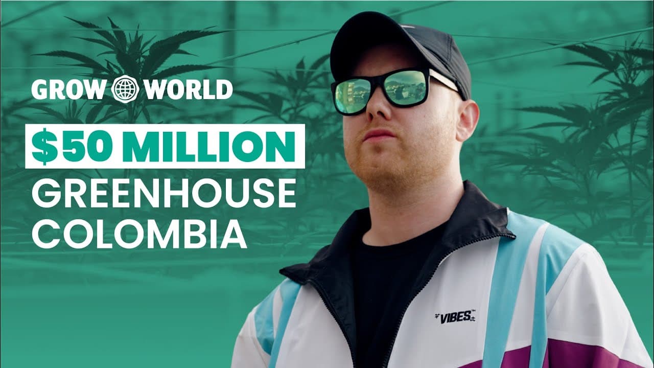 $50M+ High-tech Cannabis Greenhouse in Colombia | Plena Global
