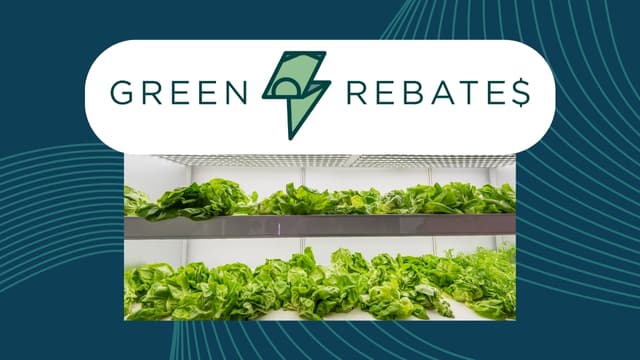 Green Rebates 